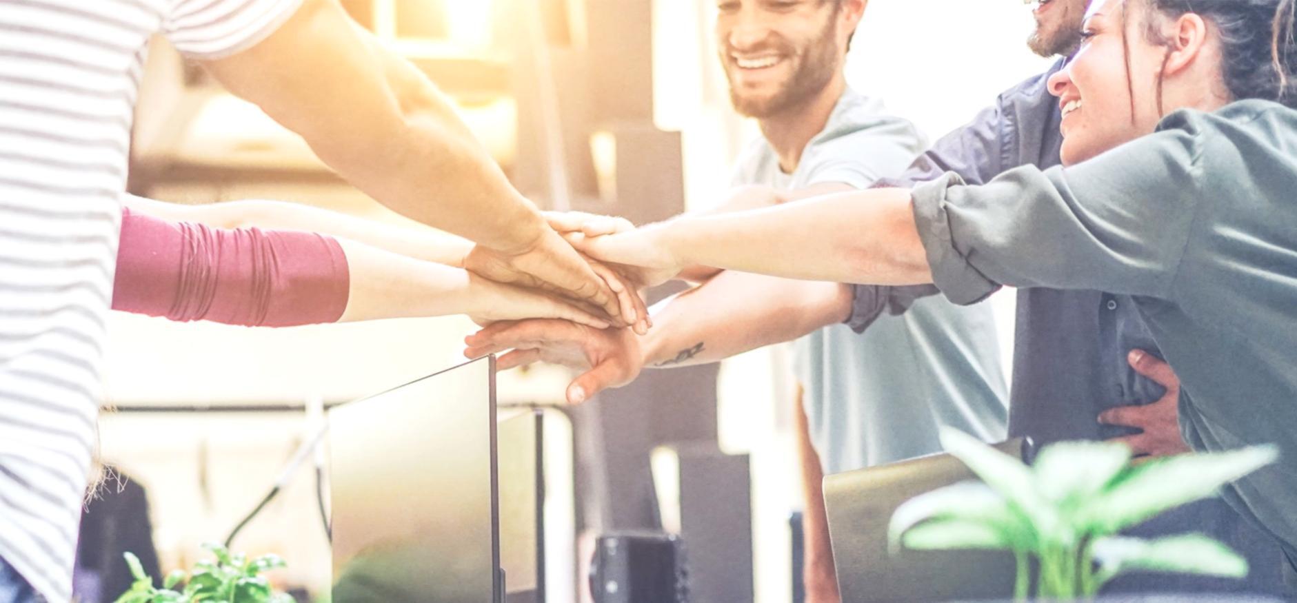 Tool-Demonstration und praktische Anwendung